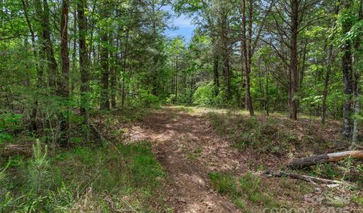 Photo #14 of Green, Lancaster, SC