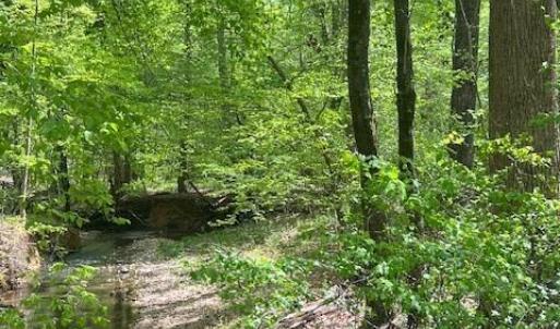 Photo #3 of tbd Pleasant Hill Church, Wadesboro, NC