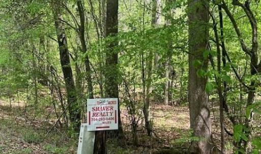 Photo #5 of tbd Pleasant Hill Church, Wadesboro, NC