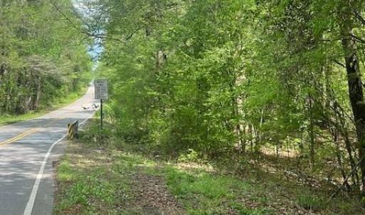 Photo #3 of tbd Pleasant Hill Church, Wadesboro, NC