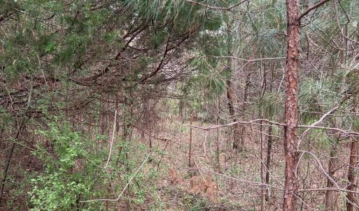 Photo #4 of 11055 Graybark, Midland, NC