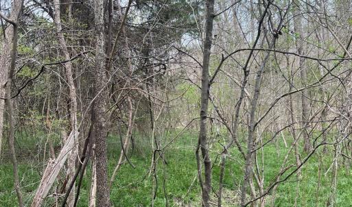 Photo #5 of 11055 Graybark, Midland, NC