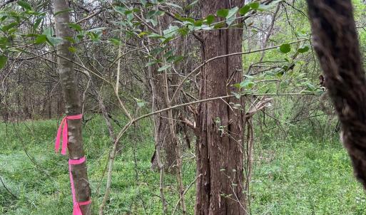 Photo #5 of 11055 Graybark, Midland, NC