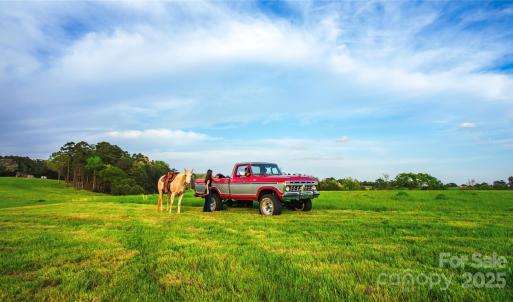 Photo #7 of Frees Creek, Jenkinsville, SC