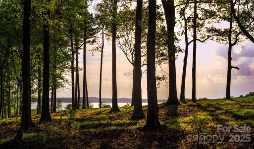 Photo #37 of Frees Creek, Jenkinsville, SC