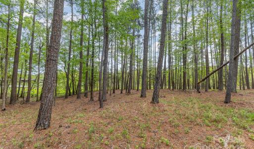 Photo #5 of Tract 3 Off Charlotte, Clover, SC