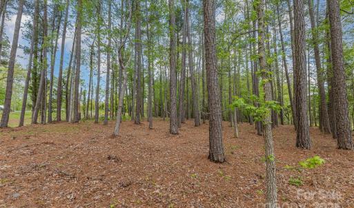 Photo #3 of Tract 3 Off Charlotte, Clover, SC