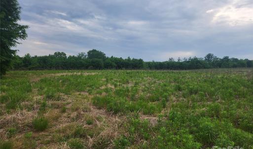 Photo #10 of Winchester, Monroe, NC