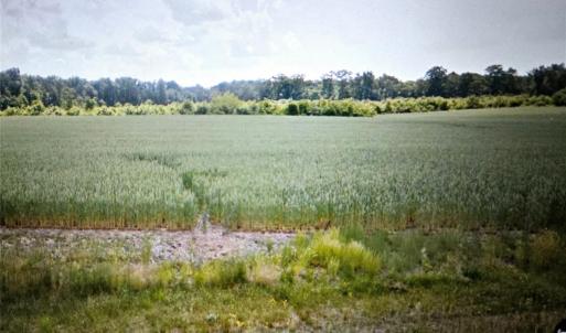 Photo #5 of Winchester, Monroe, NC