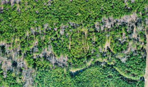 Photo #13 of 511 Moses, Ridgeway, SC