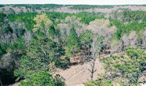 Photo #15 of 511 Moses, Ridgeway, SC