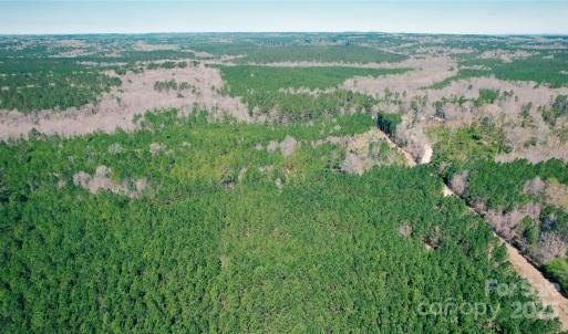 Photo #10 of 511 Moses, Ridgeway, SC