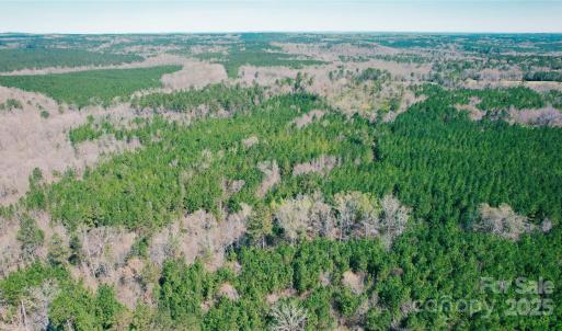 Photo #11 of 511 Moses, Ridgeway, SC