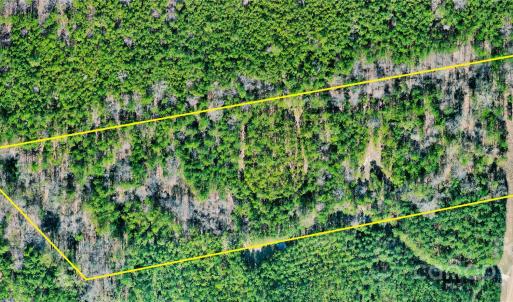 Photo #14 of 511 Moses, Ridgeway, SC