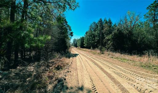 Photo #2 of 511 Moses, Ridgeway, SC