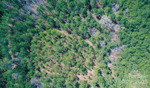 Photo #18 of 511 Moses, Ridgeway, SC