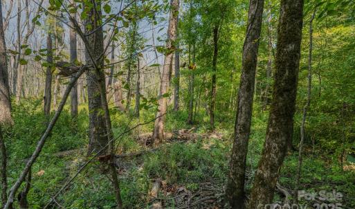 Photo #23 of Stonehenge, Waxhaw, NC