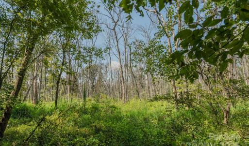 Photo #26 of Stonehenge, Waxhaw, NC