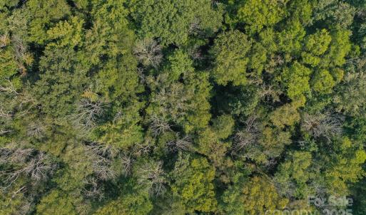 Photo #3 of Stonehenge, Waxhaw, NC