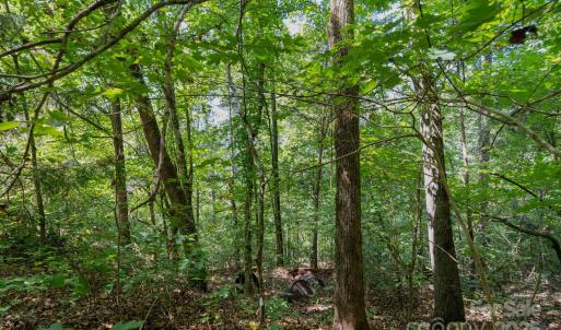 Photo #18 of Stonehenge, Waxhaw, NC