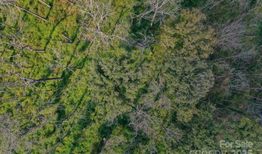 Photo #16 of Stonehenge, Waxhaw, NC