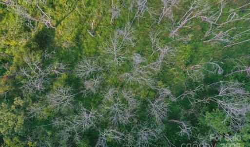 Photo #14 of Stonehenge, Waxhaw, NC