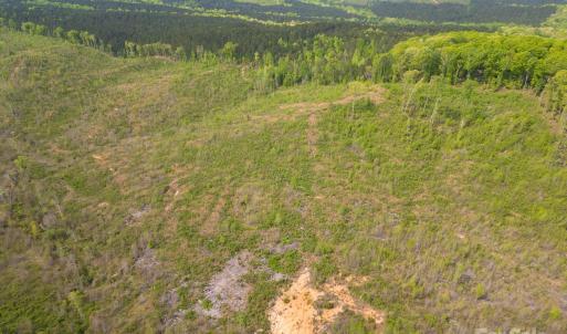 Photo #3 of TBD Mingo, Heath Springs, SC