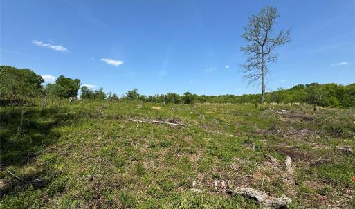 Photo #28 of Henry Harris, Lancaster, SC