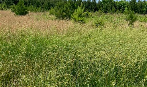 Photo #1 of Renee Ford, Stanfield, NC