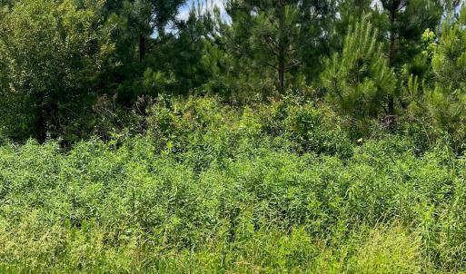 Photo #2 of Renee Ford, Stanfield, NC