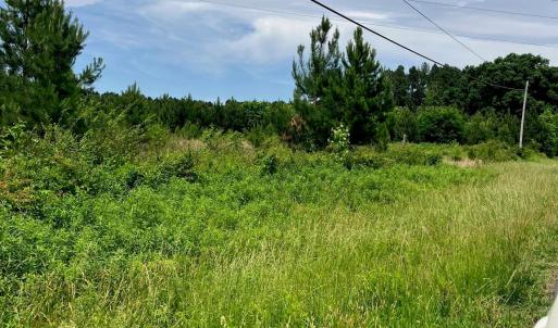 Photo #4 of Renee Ford, Stanfield, NC