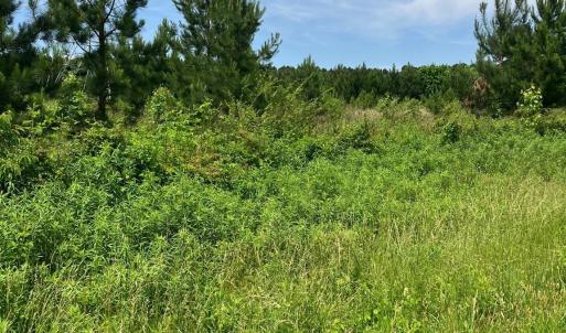 Photo #5 of Renee Ford, Stanfield, NC