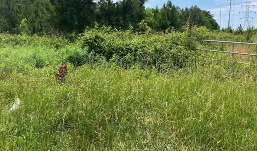 Photo #3 of Renee Ford, Stanfield, NC