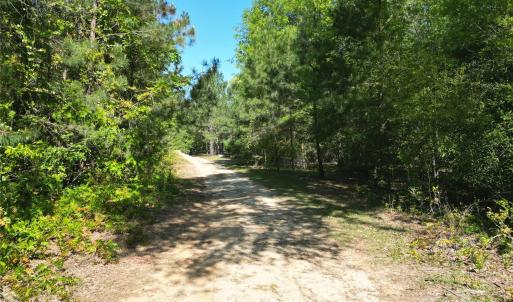 Photo #8 of TBD Goldenrod, Carthage, NC