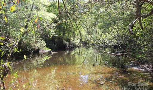 Photo #28 of TBD Goldenrod, Carthage, NC