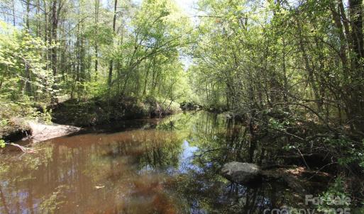 Photo #30 of TBD Goldenrod, Carthage, NC