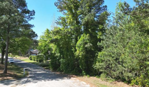 Photo #4 of TBD Goldenrod, Carthage, NC