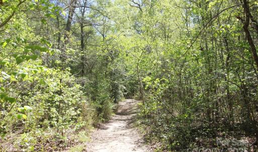 Photo #27 of TBD Goldenrod, Carthage, NC