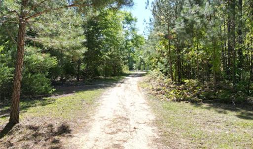 Photo #7 of TBD Goldenrod, Carthage, NC