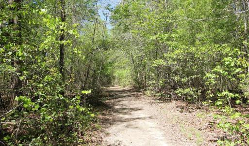 Photo #26 of TBD Goldenrod, Carthage, NC