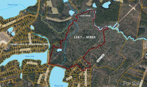 Photo #1 of TBD Goldenrod, Carthage, NC