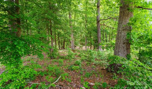 Photo #9 of Lot 10 Eagle Pointe, Norwood, NC