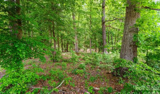 Photo #8 of Lot 10 Eagle Pointe, Norwood, NC