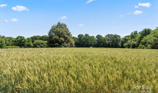 Photo #8 of Secrest Shortcut, Monroe, NC