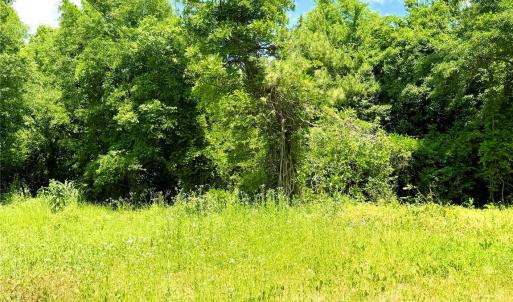 Photo #1 of Austin, Marshville, NC