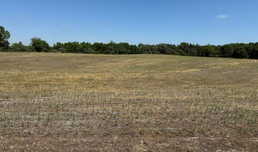 Photo #2 of 11769 NC Hwy 73, Mount Pleasant, NC