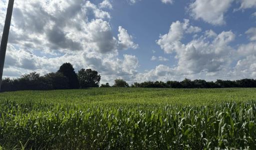 Photo #13 of 11769 NC Hwy 73, Mount Pleasant, NC