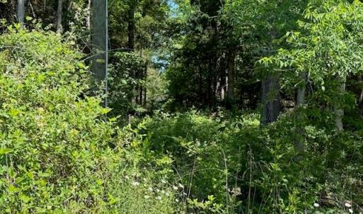 Photo #8 of 11769 NC Hwy 73, Mount Pleasant, NC