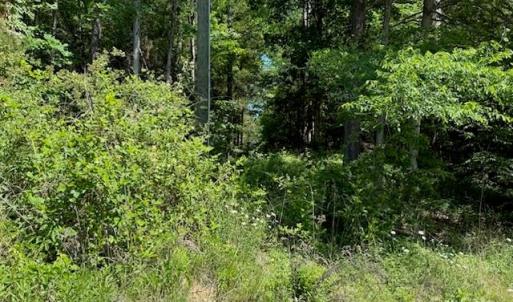 Photo #9 of 11769 NC Hwy 73, Mount Pleasant, NC
