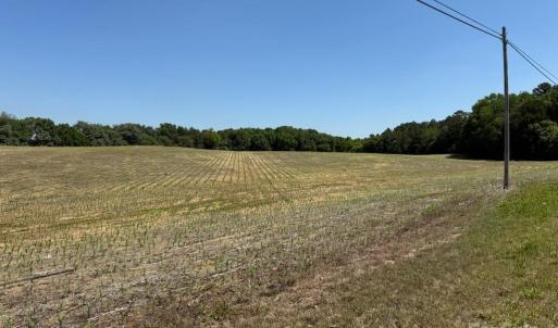 Photo #3 of 11769 NC Hwy 73, Mount Pleasant, NC